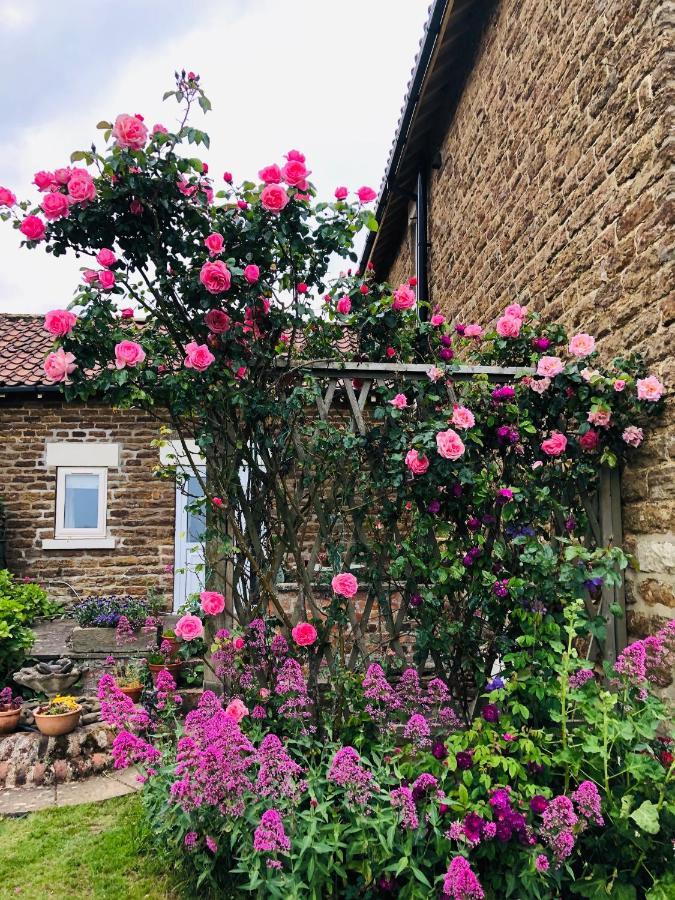 Hall Farm Bed & Breakfast Отель типа 