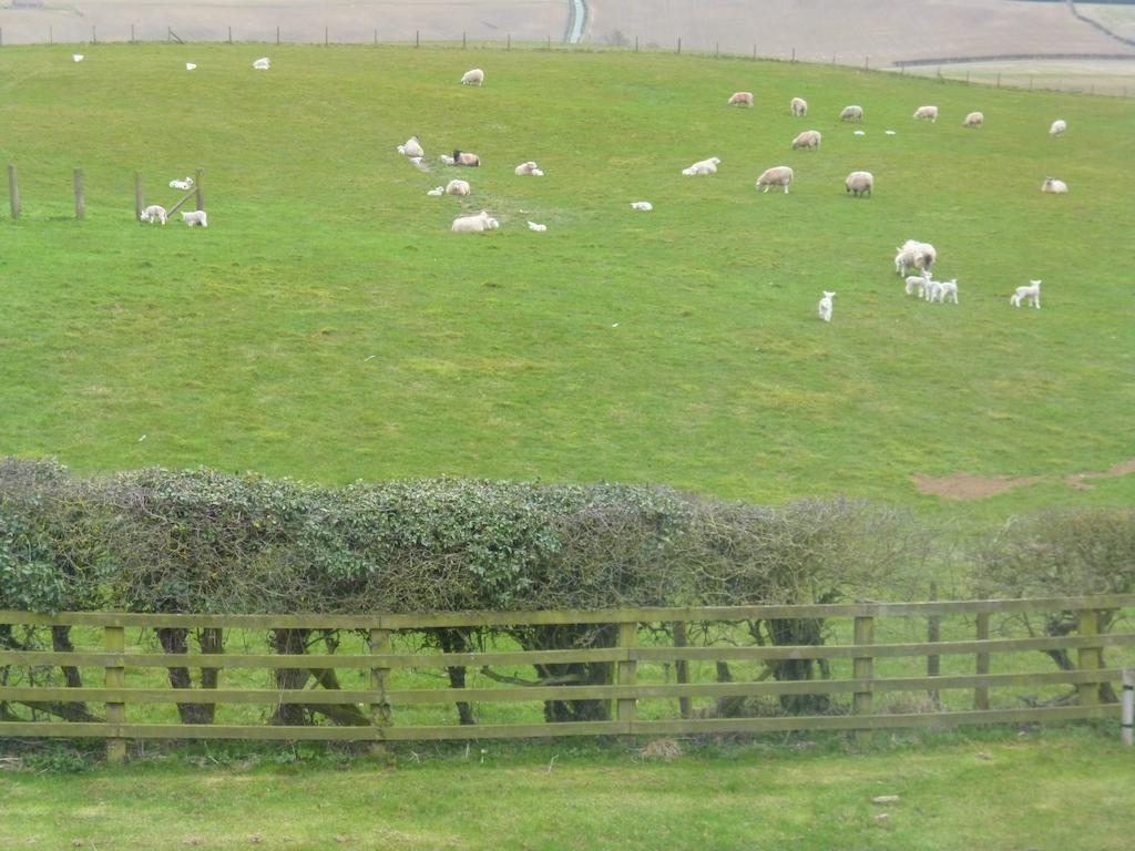 Hall Farm Bed & Breakfast Stittenham