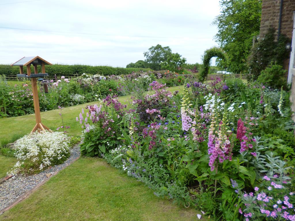 Hall Farm Bed & Breakfast Stittenham