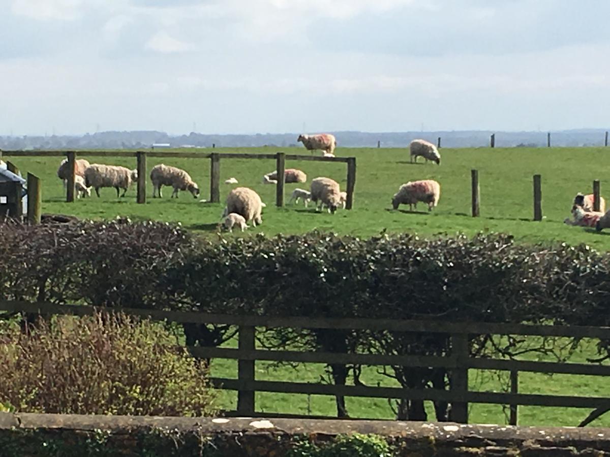 Hall Farm Bed & Breakfast Stittenham
