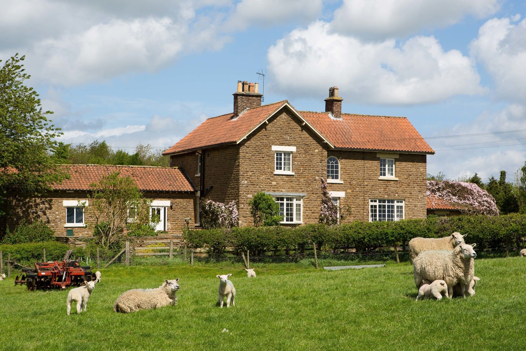 Hall Farm Bed & Breakfast Отель типа 